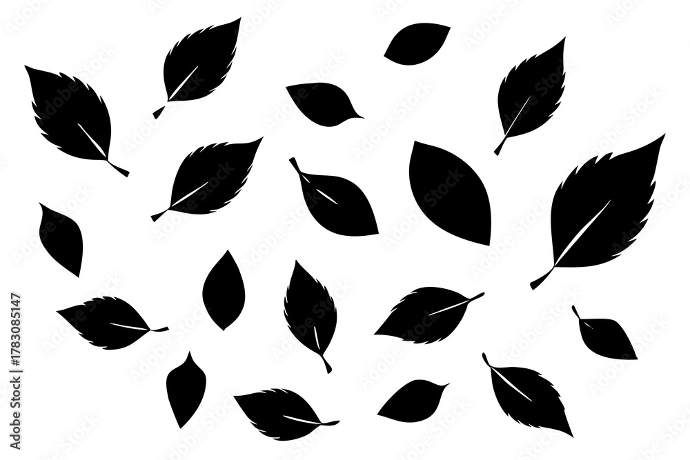 Fototapeta premium Tree leaf falling bundle silhouette vector isolated on white background