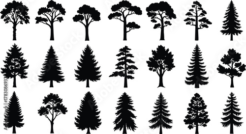 ree species silhouette collection, diverse botanical vector icons, deciduous and conifer shapes, forest design elements set, flat vector illustration