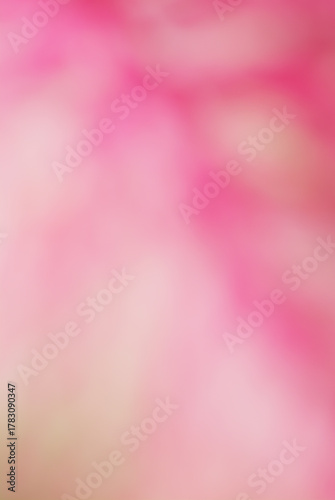 Pink background image, blurred image, suitable for making a beautiful, natural background image.