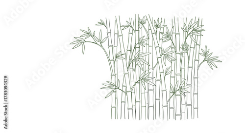 A minimalist line art illustration of a bamboo forest or grove, featuring several stalks and delicate leaves on a clean white background.