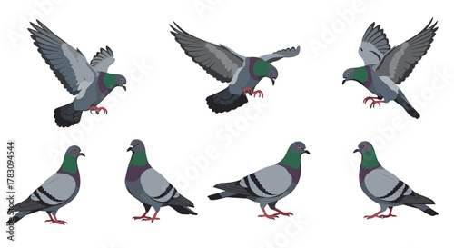 Pixel art animation frames of common city pigeons, showing them standing, flying, taking off, and landing on a white background.