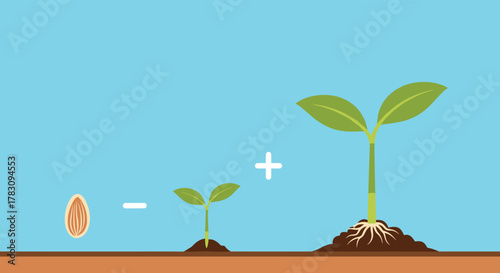 Illustrative representation of a plant's growth stages, from a seed to a small sprout, and finally a larger plant with developed roots.