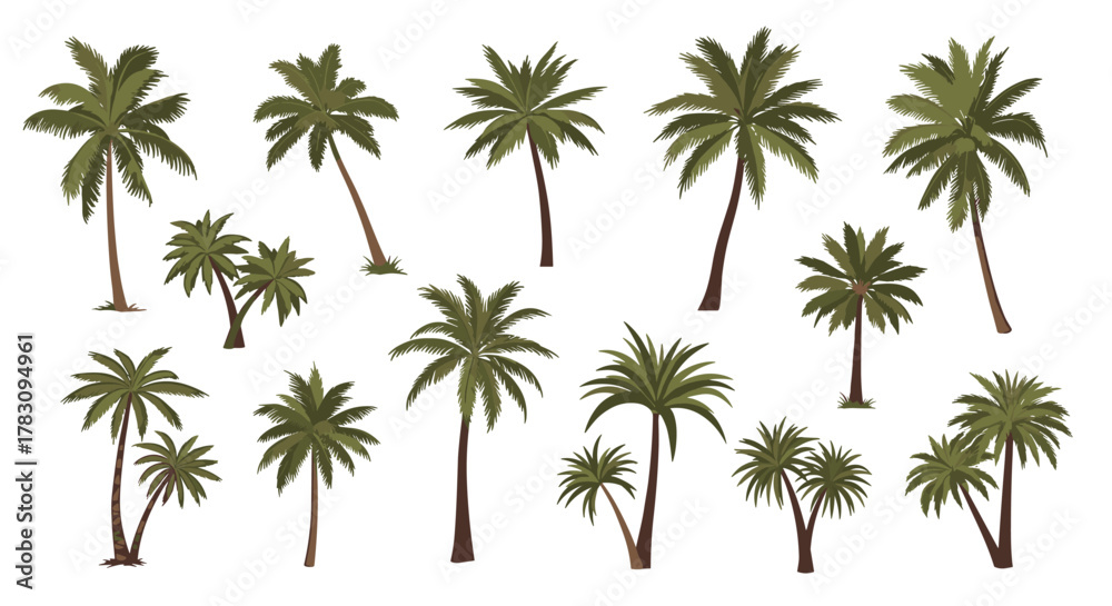Fototapeta premium Diverse collection of palm trees, featuring individual and grouped tropical illustrations on a white background.