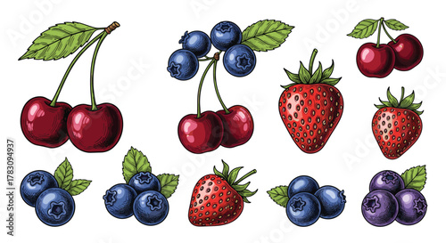 A vibrant collection of hand-drawn berries including cherries, blueberries, and strawberries, perfect for healthy food designs and organic labels.