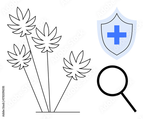 Cannabis plants, magnifying glass, and health shield with a cross representing medical research, safety, and health benefits. Ideal for healthcare, research, wellness, plant science safety natural