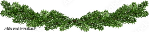 Fotografija pine garland
