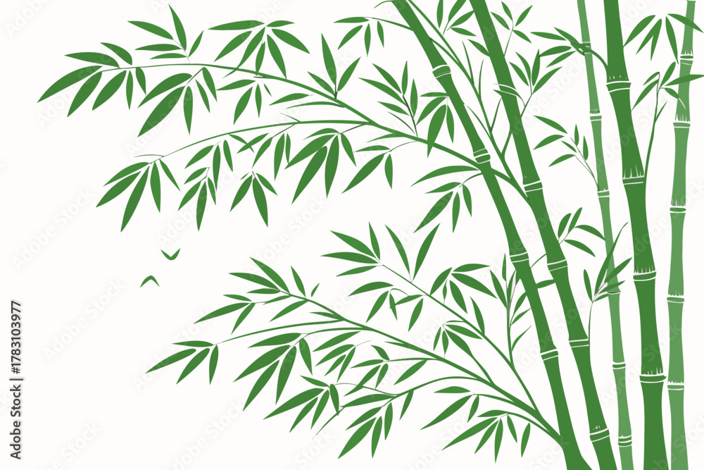 Fototapeta premium bamboo leaves on white background