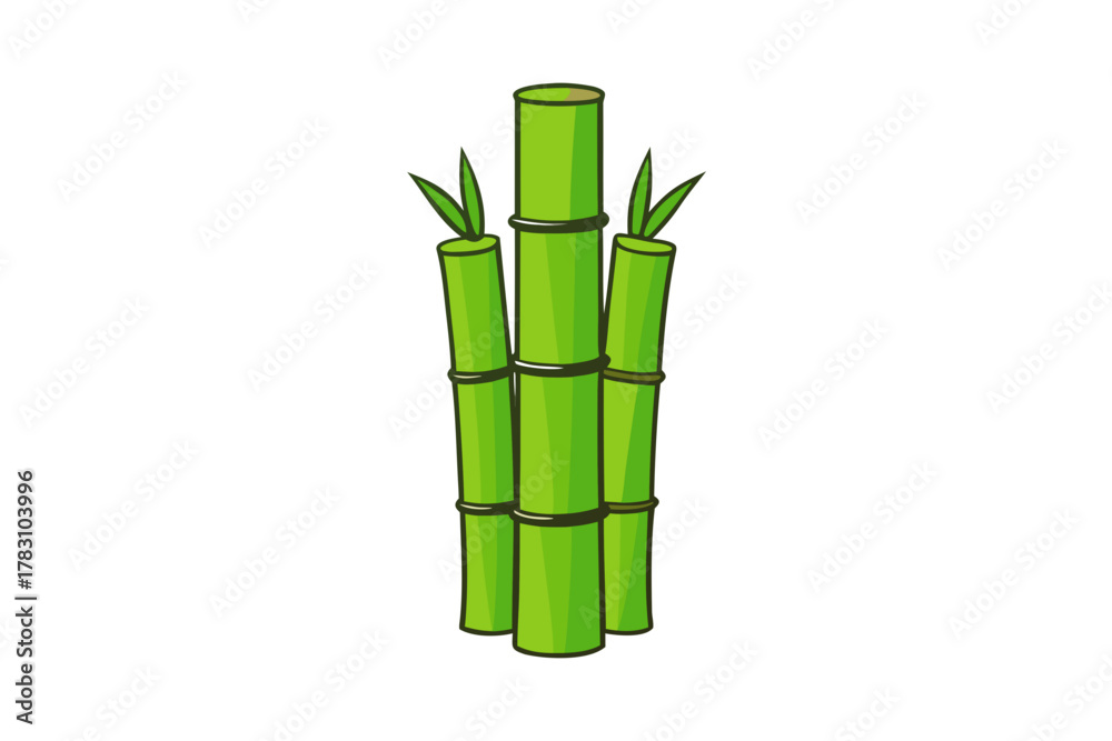 Fototapeta premium bamboo isolated on white