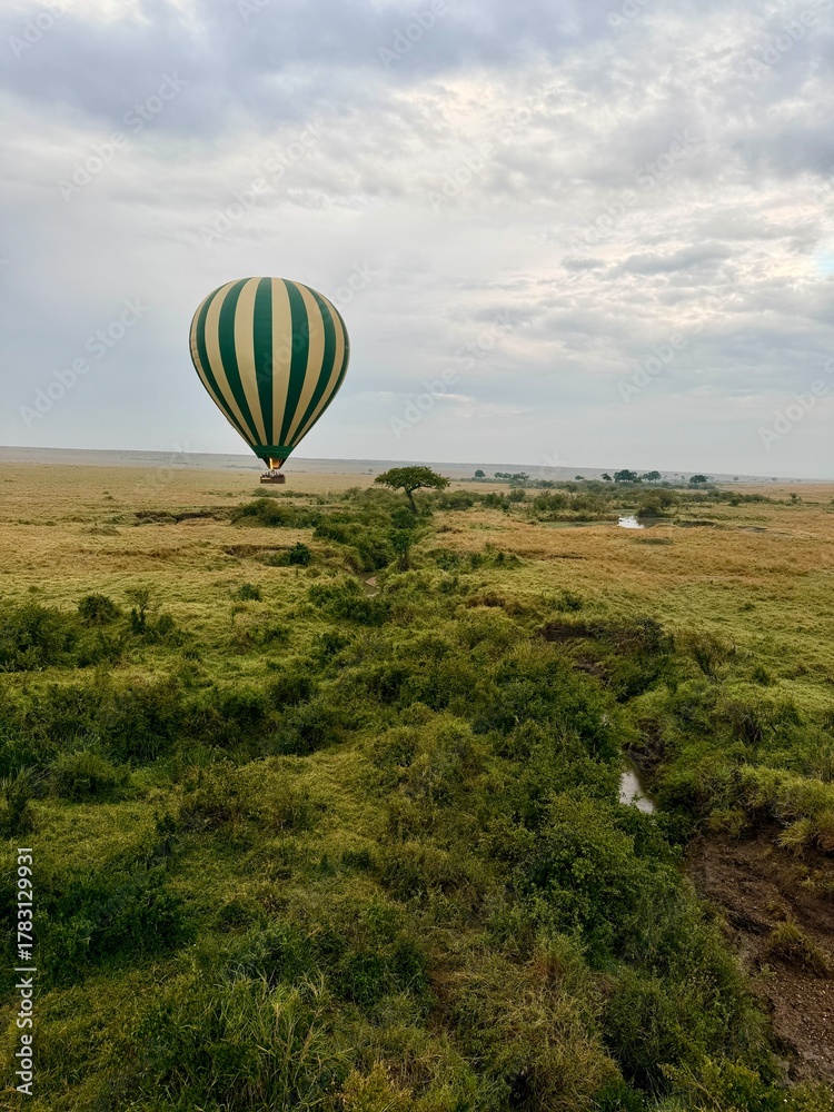 Obraz premium hot air balloon