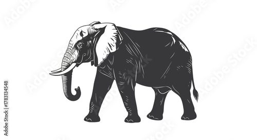 Elegant Vector Illustration of a Majestic African Elephant on White Background