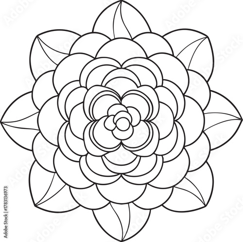Detailed camellia flower outline illustration for adult coloring book and design
