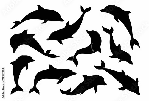 Dolphin icon sea whale jump c...
