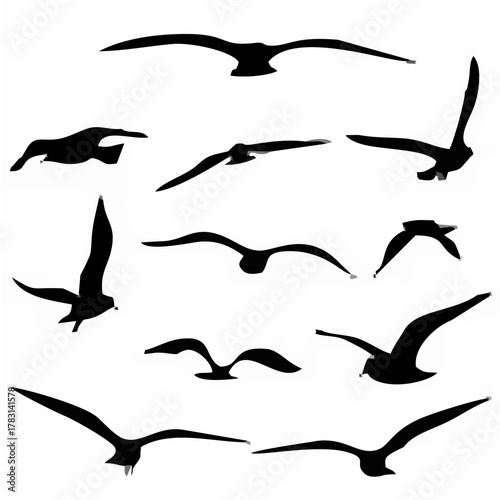 Flying Bird Silhouettes - Whi...