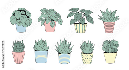 Charming collection of potted houseplants in various modern and decorative containers bringing natural beauty indoors and enhancing home decor