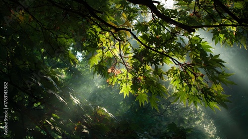 Bright sunbeams pierce through dense green foliage in a deeply shaded natural setting