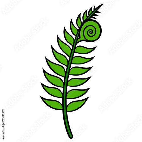fern leaf isolated on white