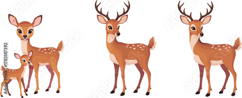 Beautiful deer family with baby fawn and adult stags standing in forest, wildlife illustration showing nature, forest animal love scene