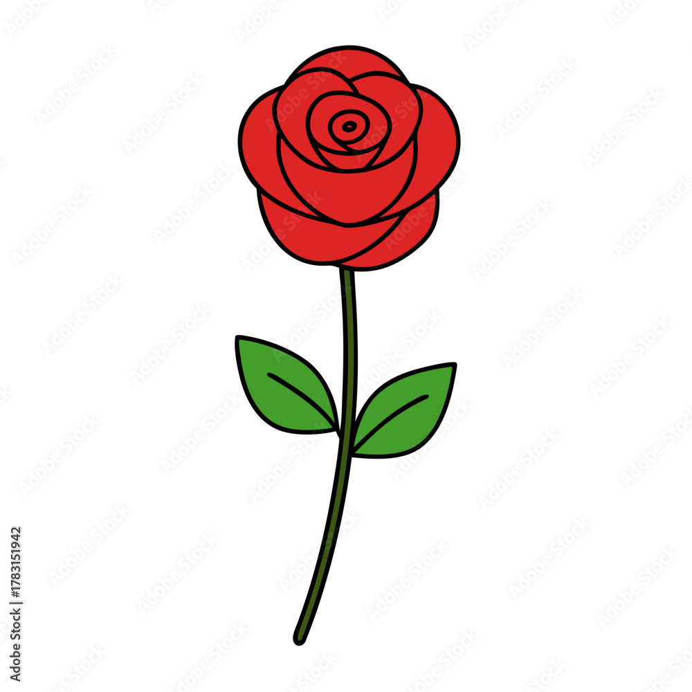 Fototapeta premium red rose isolated on white