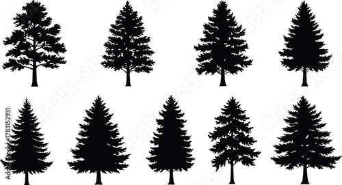 Black forest tree silhouettes vector set, pine and spruce illustration, evergreen conifer collection, natural woodland design, nature clipart, detailed tree graphic art