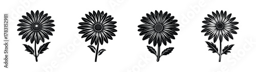 Floral daisy flower vector art illustration design element botanical drawing silhouette clip art graphic design