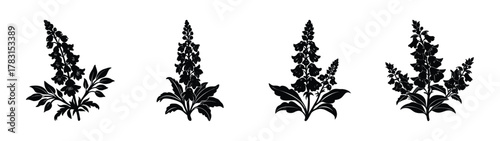Download black and white foxglove flower vector art illustration set for graphic design needs
