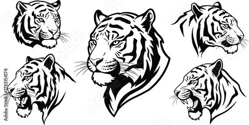 Tiger head illustration set, stylized animal sketch, bold line tiger art, expressive tiger faces, wildlife drawing, black and white vector
