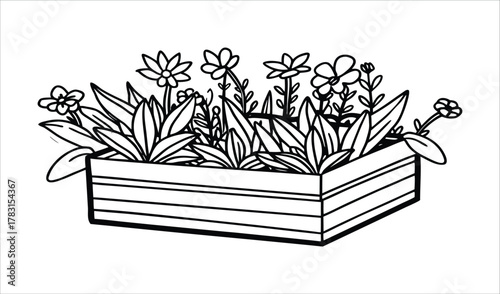 Hand drawn illustration of a planter box filled with flowers and leaves