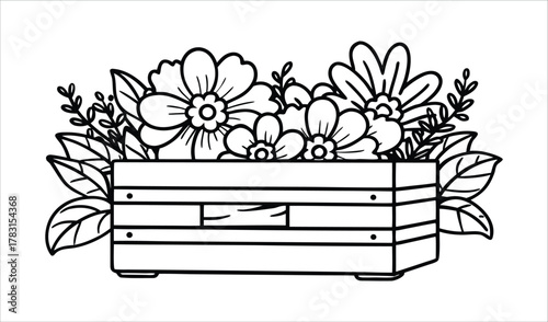 Hand drawn illustration of a wooden planter box overflowing with flowers and leaves