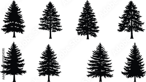 Black pine and spruce tree silhouettes vector collection, evergreen forest illustration, conifer nature design, detailed woodland clipart, natural tree graphic art