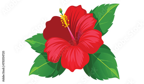 Vibrant red hibiscus flower with green leaves isolated on white background