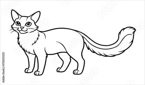 Simple line drawing of a fluffy cat with a bushy tail