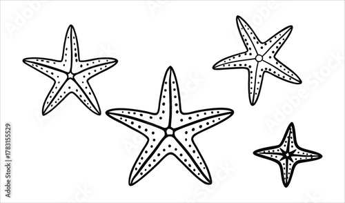 Four black and white hand drawn starfish illustrations on a white background