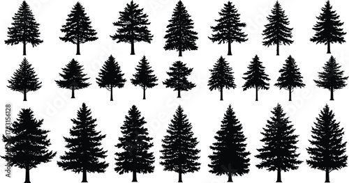Black pine tree silhouette collection, detailed evergreen forest vector set, coniferous tree shapes, nature illustration elements for design, decoration, and landscape artwork.