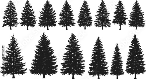 Black pine tree silhouette collection, detailed evergreen forest vector set, coniferous fir shapes illustration for nature design, landscape artwork, and decorative projects.