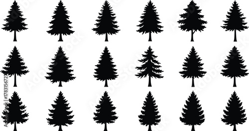 Black pine tree silhouette collection, evergreen spruce forest vector, minimal Christmas tree icons, nature clipart set, conifer design, woodland graphic illustration