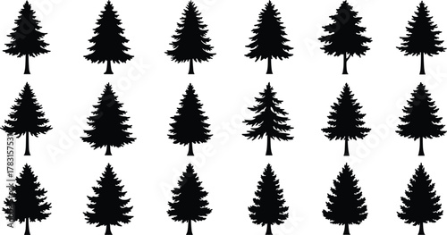 Black pine tree silhouettes vector set, evergreen spruce forest collection, natural conifer tree shapes, woodland illustration, minimal nature clipart, Christmas tree design