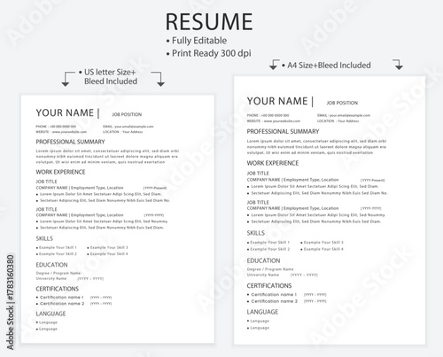 editable professional resume cv layout