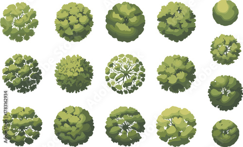 Top view stylized trees illustration, abstract foliage design, landscape architecture vegetation, urban planning greenery, decorative tree set, eco environment graphic