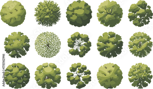 Top view tree canopy illustration, stylized foliage circle design, landscape architecture vegetation, green nature pattern, environmental planning element, botanical texture,