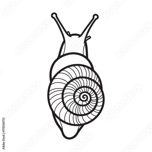 Snail with spiral shell coloring page