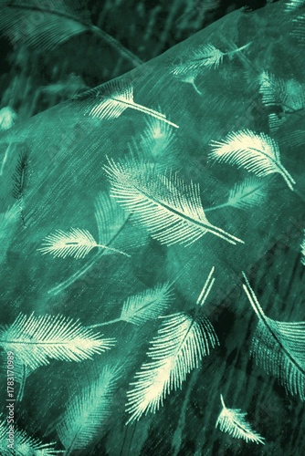 federn auf holz textfreiraum