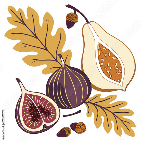 Autumn fruits figs and papaya with fall leaves botanical harvest illustration on white background