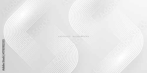 gray and white abstract background modern vector illustration