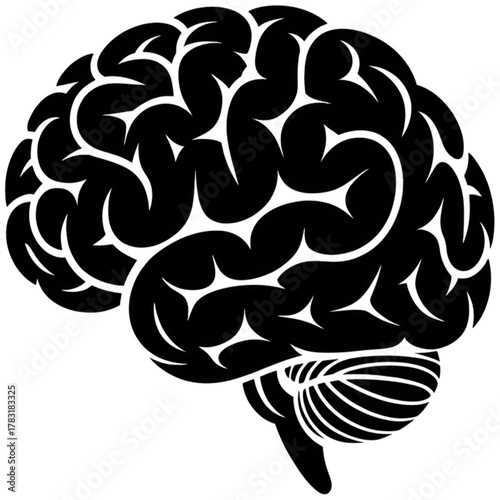 Brain Anatomy: A precise, striking illustration of the brain's complex structure, symbolizing the power of human intellect, intelligence, and cognitive function.