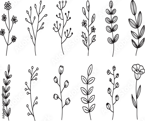 Set of herbs twigs plants and flower decorative outline