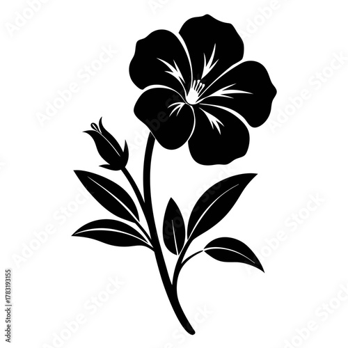 black and white flower