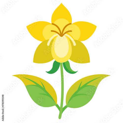 yellow archangel flower on white background