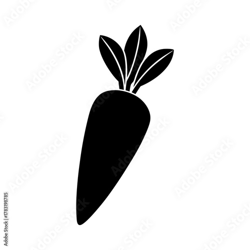 Carrot Vegetable with Leaf Stem on Clean White.