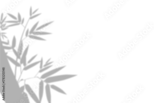 Wallpaper Mural Natural light shadow overlay abstract background design element for product presentation and mockups realistic shadow of leaves on transparent background Torontodigital.ca