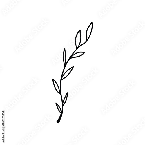 Hand drawn tattoo nature floral flowers, branches and leaves in line art style. Collection of sketches of botanical elements